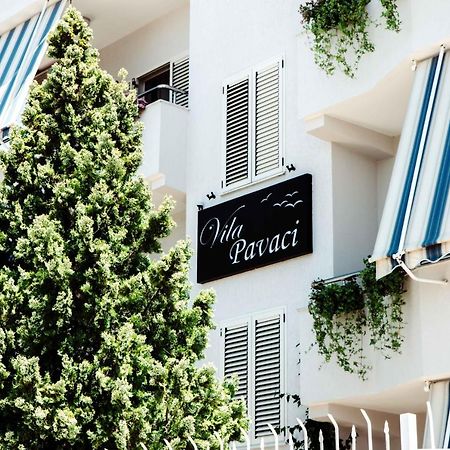 Apartments Vila Pavaci Velipoje Bagian luar foto