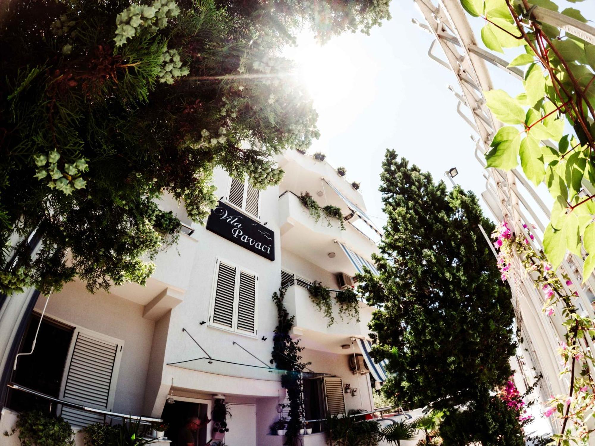 Apartments Vila Pavaci Velipoje Bagian luar foto