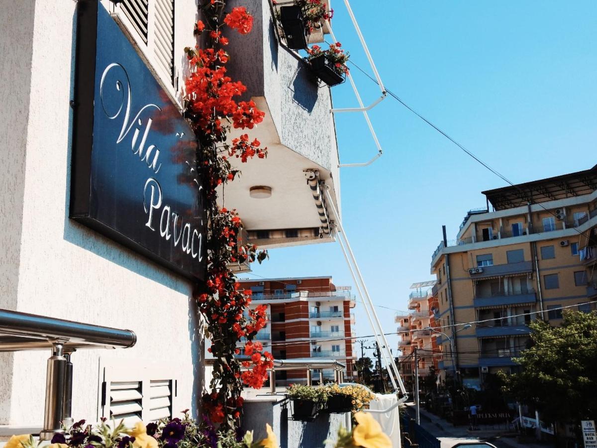 Apartments Vila Pavaci Velipoje Bagian luar foto